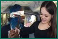 Unveiling The Diamond Franco Fan Bus: A Journey Of Passion And Community